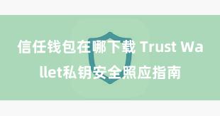 信任钱包在哪下载 Trust Wallet私钥安全照应指南