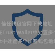 信任钱包官网下载地址 如安在Trust Wallet中处置多个加密钱包地址？