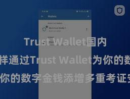 Trust Wallet国内能用吗 怎样通过Trust Wallet为你的数字金钱添增多重考证安全秩序？